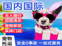 阿尔山航空托运国际宠物托运 【国